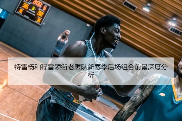 特雷杨和穆雷领衔老鹰队新赛季后场组合前景深度分析